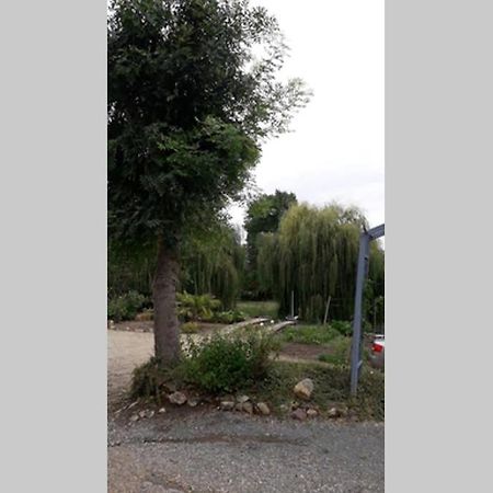 Entre Vignes Et Loire Lägenhet Blaison-Saint-Sulpice Exteriör bild