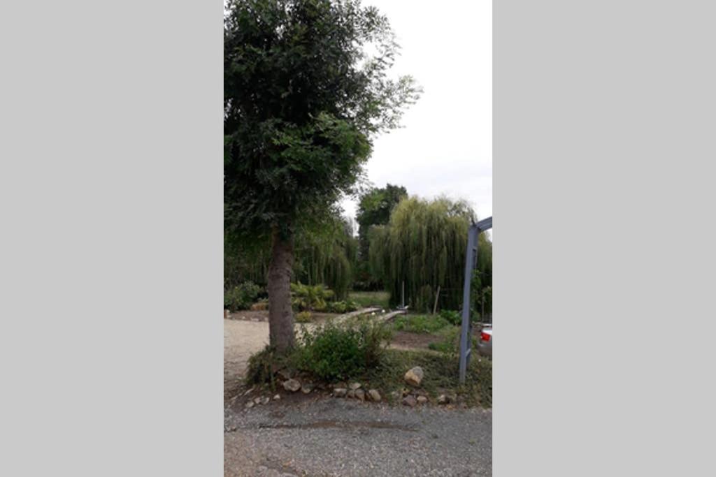 Entre Vignes Et Loire Lägenhet Blaison-Saint-Sulpice Exteriör bild